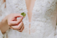 /album/svadby-weddings/1-web-4-jpg/